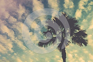 Silhouette palm or coconut tree on cloud and sunset sky background in the summer time with copy space. vintage post processed