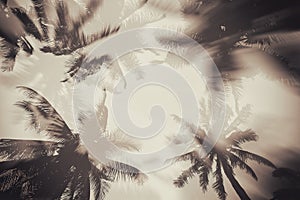 Silhouette palm tree with double exposure effect in vintage filter background