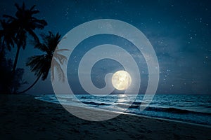 Silhouette palm tree in night skies and full moon - dreamlike wonder nature