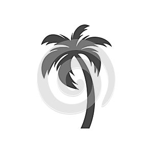 Silhouette palm tree, Palm tree icon on white