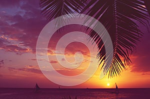 Silhouette palm tree sailboats sunset faded filter