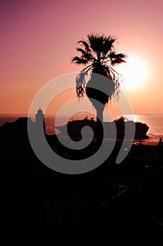Silhouette of palm tree and ship