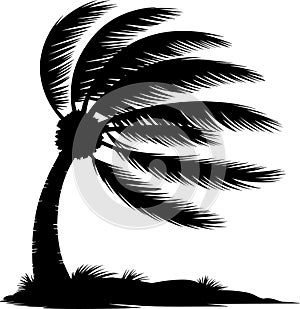 Silhouette of a Palm Tree Swaying in the Wind