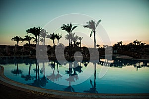 Silhouette palm tree with umbrella chair pool in luxury hotel resort at sunrise times. Summer vocation
