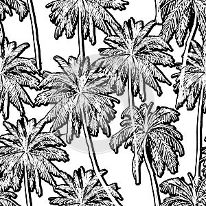 Silhouette palm trees black and white botanical vector seamless pattern background on white