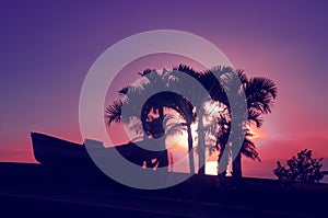 Silhouette of palm trees and boat on the background of a beautiful purple sunset in Los Gigantes.