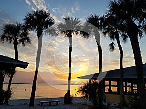 A silhouette of the palm trees and buildings overlooking the sunset by the beach near Cape Coral, Florida, U.S photo