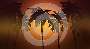 Silhouette of palms, on sunset background