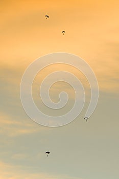 Silhouette of parachutists flying slowly on parachute at sunset