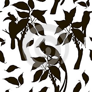 Silhouette pattern with exotic birds on trees