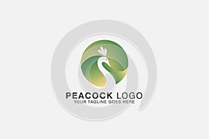silhouette peacock head isolated circle vector illustration usable for logo design related to poultry. nature. farmer. animal.bird