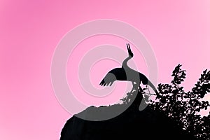 The silhouette of a pelican against the pink sunset sky