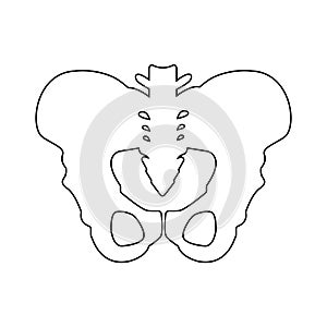 Silhouette of pelvis icon outline element. Vector illustration of hip bones icon line isolated on clean background for