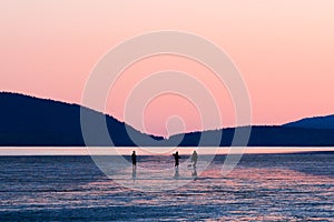 Silhouette of people enjoying the view at sunset in Bellingham, Washington