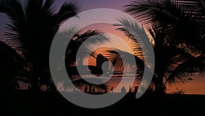 Silhouette of people on tropical beach at sunset - Tourists enjoying time