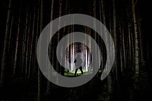 Silhouette of person standing in the dark forest with light. Horror halloween concept. strange silhouette in a dark spooky forest