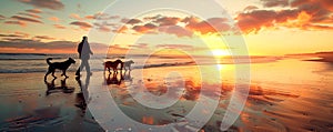 Silhouette of person walking dogs on beach at sunset vibrant sky reflected on wet sand. Tranquil scene captures peaceful