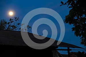 silhouette photo of the roof of a house with leaves from the surrounding trees. photo