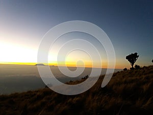Silhouette photo at sunrise on Mount Merbabu