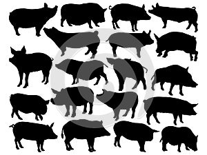 Set of Pig silhouette vector art on a white background