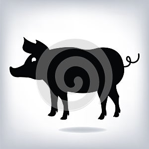 Silhouette of pig on white background.