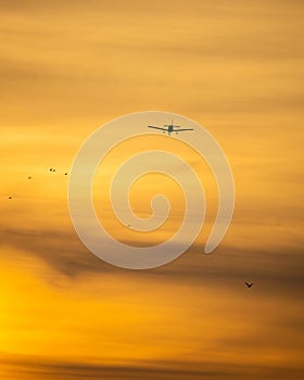 Silhouette of a plane flying during a brilliant vibrant golden sunset. JFK Airport