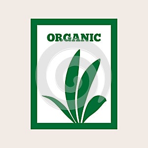 Silhouette of plant in a rectangular frame. Text Organic. Green