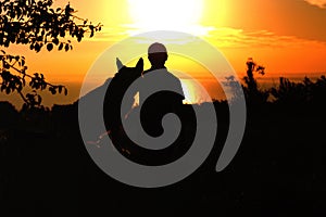 Silhouette profile of German Shepherd dog obediently sitting nearby his owner man, boy walking on nature with pet at sunset in a