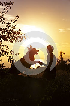 Silhouette profile of hapy man and dog sitting and playing on nature, boy training German Shepherd at sunset in a field, concept