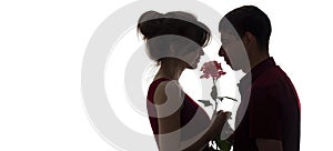 Silhouette profile of a young couple in love on white isolated background, man giving a woman a rose flower, concept love and