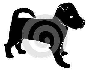 Silhouette of puppy, small dog