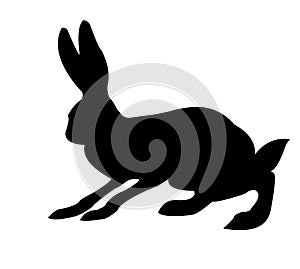 Silhouette of the rabbit