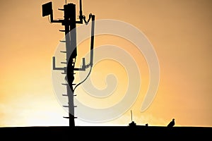 Silhouette of a radio telecommunication network antenna mounted on a metal pole