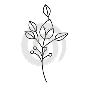 Silhouette ramifications flower with stem and branches