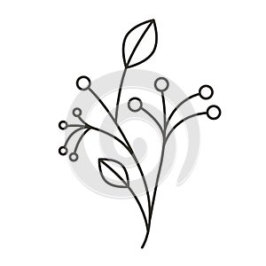 Silhouette ramifications tree with stem and branches