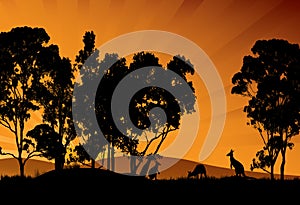 silhouette and rays with kangaroos and mountains