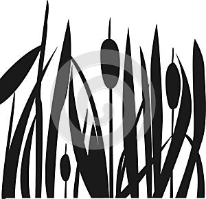 Silhouette of Reed Bush