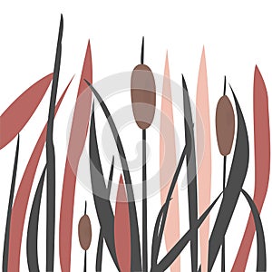 Silhouette of Reed Bush