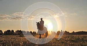 Silhouette of a rider on a horse against the background of the dawn sun