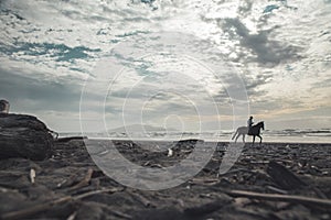 Silhouette of rider on the horse on New Zealand beach