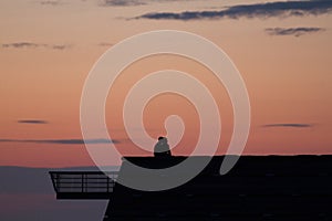 Silhouette of a romantic couple kissing on the roof during sunset