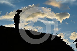silhouette of roofer against sky while thatching