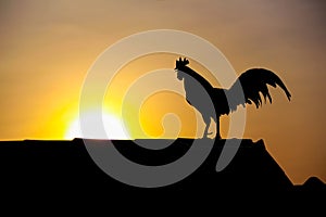 Silhouette of rooster standing on roof house with sunrise on beautiful sky background in the morning