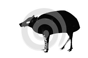 Silhouette of saber-toothed deer mouse on paper