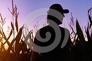 Silhouette of satisfied male farmer standing on cornfield