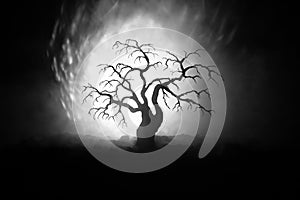 Silhouette of scary Halloween tree on dark foggy toned background with moon on back side.