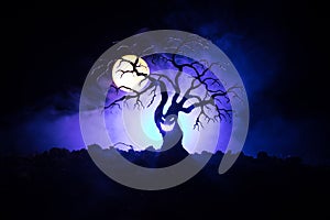 Silhouette of scary Halloween tree with horror face on dark foggy toned background with moon on back side. Scary horror tree with