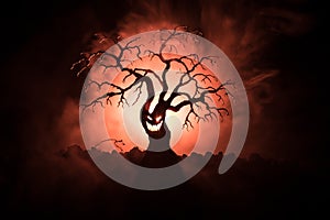 Silhouette of scary Halloween tree with horror face on dark foggy toned background with moon on back side. Scary horror tree with