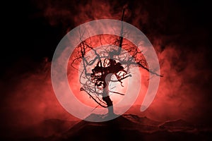 Silhouette of scary Halloween tree with horror face on dark foggy toned background with moon on back side. Scary horror tree with
