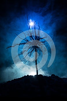 Silhouette of scary Halloween tree with horror face on dark foggy toned background with moon on back side. Scary horror tree with